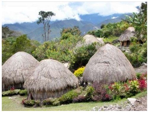 Rumah Tradisional Papua (Honai) | kayanblog